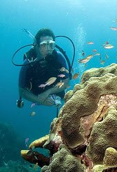 Day Diving in Pattaya